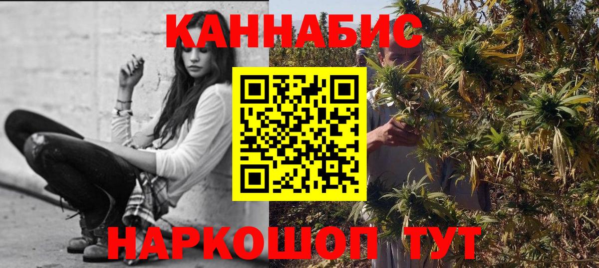 Канабис конопля  Каннабис сатива  Вход с VPN  Сланцы 